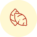 Sweet potato